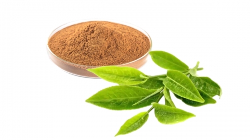 茶葉茶氨酸