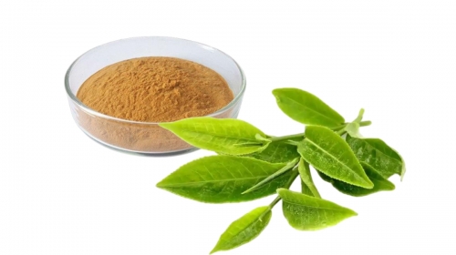 茶多酚